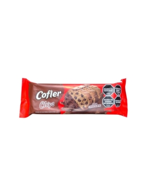 Budin